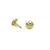 upholstery nails Brass Plated (Gold) Pack of 90 1/3 250