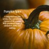 Buyitshipit - Original Pumpkin Spice Fragrance from Our Holiday Collection