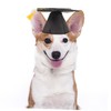 GANAZONO Pet Graduation Ceremony Party Supplies Doctor Hat Pet Toys