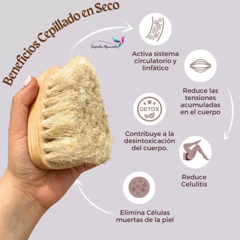Impulso Ayurveda Cepillo Corporal, Cerda Natural, Exfoliante, Anti-celulitis
