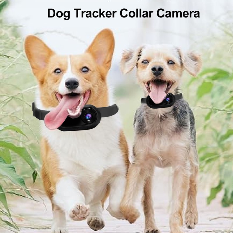 Pet Collar Camera High Definition Portable Dog Tracker Collar Camera