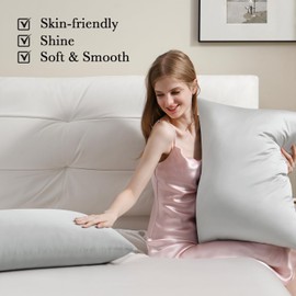 Softhour Silky Pillowcase Premium Satin Pillow Cases with Zipper Closure for Hair and Skin, Standard Size 20 x 26 Inches, Gifts for Women Men, Silver Gray