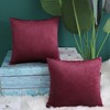 PiccoCasa Velvet Cushion Covers Set of 2 Stylish Nordic Decorative