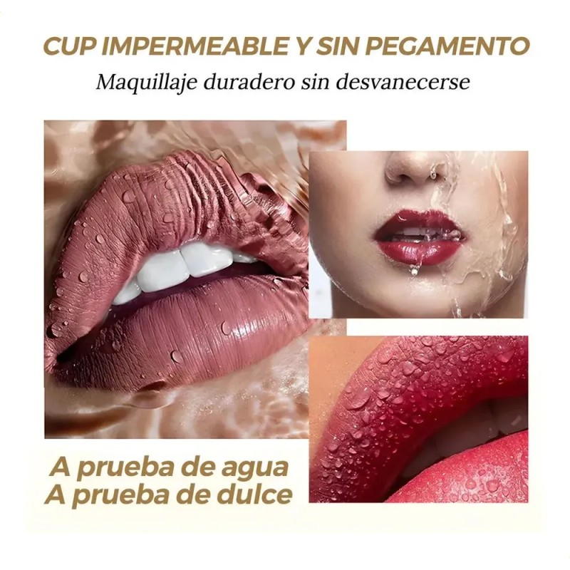 12 Cores De Batom Matte Kit De Gloss Labial Impermeável