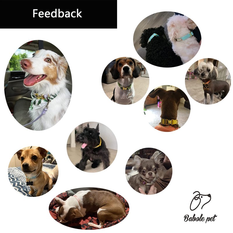 Babole Pet Nylon Dog Collar - Adjustable Black Soft Webbing