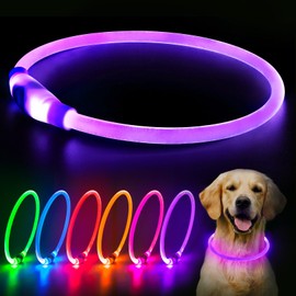 Flashseen LED Dog Collar, USB Rechargeable Glowing Lighted Up Collar, Cuttable Water-Resistant TPU Safety Collar Lights for Small Medium Large Dogs (Purple)