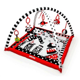 Genius Baby Toys Portable Baby Play Gym and Activity Mat 0-6 Months, Easy Set Up and Take Down, High Contrast Graphics, Washable Fabric, Ideal for Tummy Time, Compact Size with Carrying Case