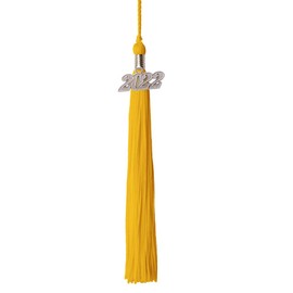 Class Act Graduation Graduation Tassel - Silver Charm - 1 Color, 2022, Gold
