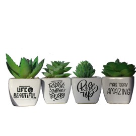 Oospecka Designs Motivational & Inspirational Mini Realistic Artificial Succulent Plants in White Ceramic pots- Set of 4