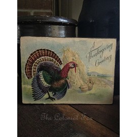 Vintage Thanksgiving Turkey Print Antique Reproduction Portrait on 8x10 Canvas