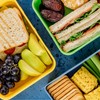 PATIKIL 12"x9"x3" Insulated Lunch Bag Portable Food Container Bag Flat