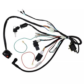 Unbranded Wiring Harness Light Wire For 50cc 125cc 140cc Engine Pit Dirt Bike Apollo SSR