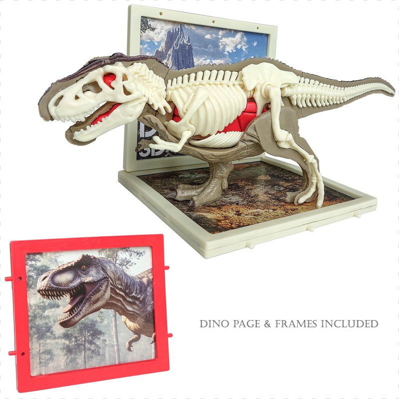 4D Vision Dinosaur Anatomy Model - Interactive Dinosaur Skeleton &