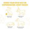 Vetzyme Flexible Joint Supplements for Dogs (30 Tablets) - Hip