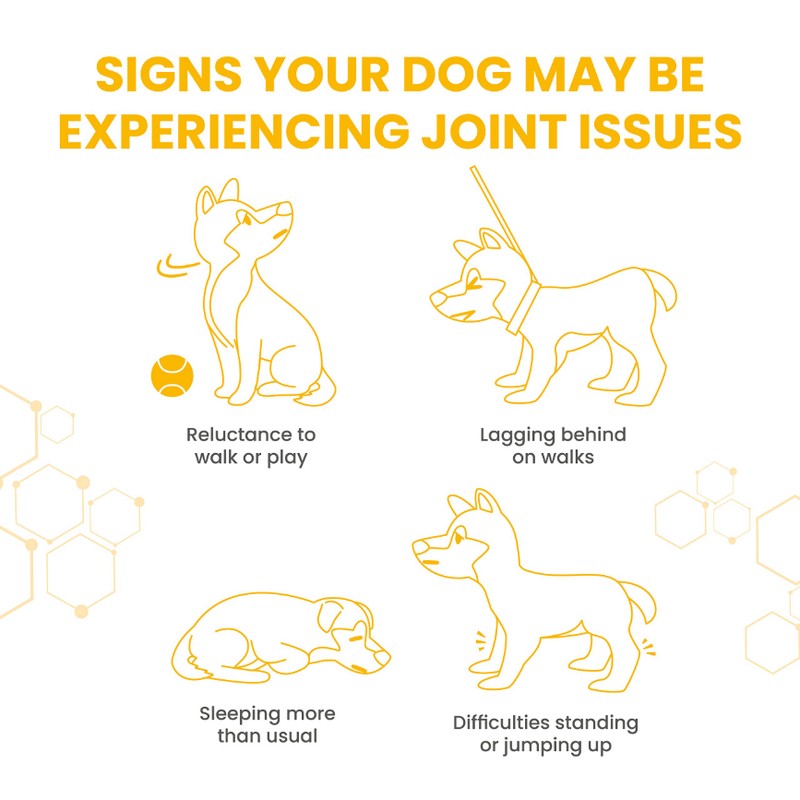 Vetzyme Flexible Joint Supplements for Dogs (30 Tablets) - Hip