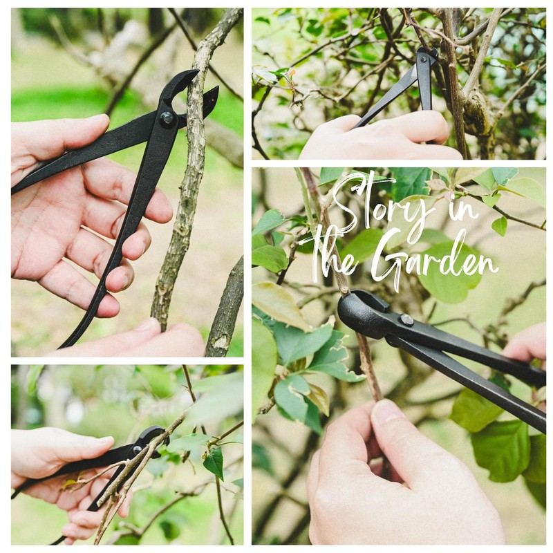 15-Piece Bonsai Tree Kit, Bonsai Tool Set, Bonsai Starter Kit,