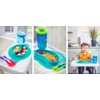 Nuby UK Sure Grip Miracle Section Plate, Assorted Colours