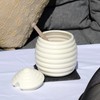 Darthome Cream Beehive Honey Pot With Wooden Dipper 11x12.5x11cm Ceramic