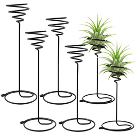 6 Packs Air Plant Holder, 3 Sizes Air Plants Live Holders Iron Wire Plants Stand Planter Shelves for Displaying Small Air Plant, Home Office Desktop Decoration Air Plants Live Holders Airplant Plant