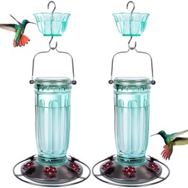 Kingsyard 2 Pack Glass Hummingbird Feeder for Outdoors, 16 Oz Wild Bird Feeder with 6 Feeding Ports Hanging for Garden Yard, Green (Ant Moat Included)