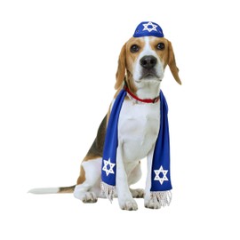 Pets Yarmulke and Tallis Hanukkah Set with Star of David (Medium/Large)