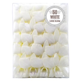 FRESH CUT FLOWERS Orchid Loose Bloom OrchidClub USA by Sunne Tropical DIY Lei, food & drink decoration (50 White)