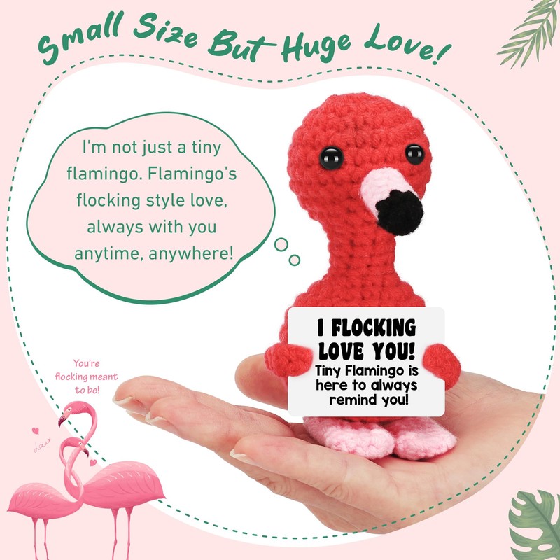 Funny Flamingo Birthday Gifts for Her Him Anniversary Women Men