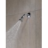 Peerless 2-Setting Shower Head in Chrome