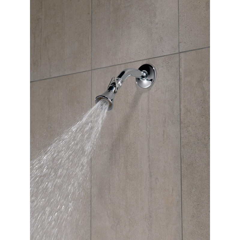 Peerless 2-Setting Shower Head in Chrome