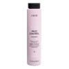 Shampoo Lakme Teknia Frizz Control Para Cabellos Encrespados 300ml