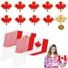 Mini Canadian Flags Set with Flagpoles & Maple Leaf Badges