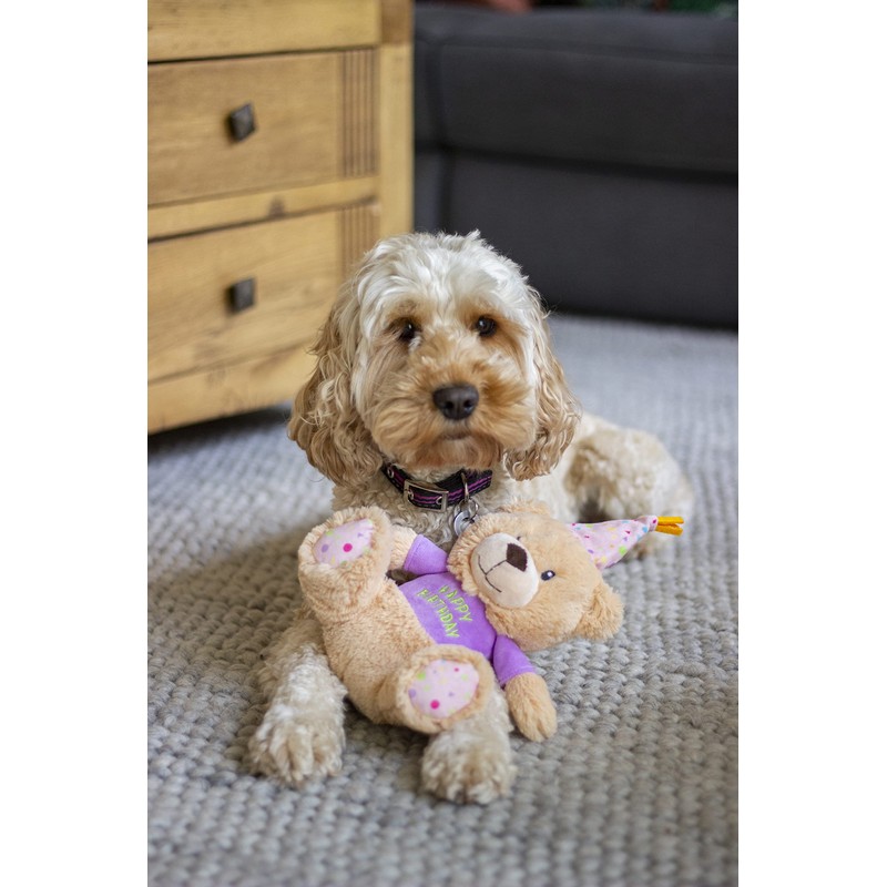 Rosewood Chubblez Bonnie Birthday Bear Plush Dog Toy, Gift for