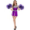 Hooshing 2PCS Purple and Silver Pom Poms Cheer Professional Metallic