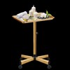 Chetunju Colden Salon Tray, Salon Rolling Tray Cart with Wheels,