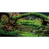 MIRRORANG 120x61cm Aquarium Background Branches Terrarium Background Aquatic Plant River