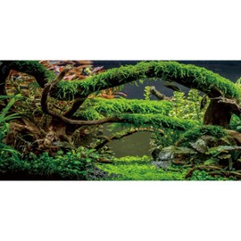 MIRRORANG 120x61cm Aquarium Background Branches Terrarium Background Aquatic Plant River Bed & Lake Fish Tank Background Vinyl Background