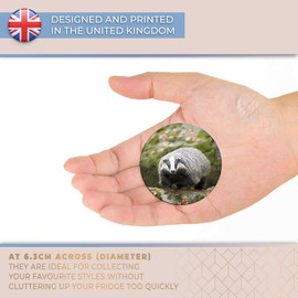 Destination Vinyl ltd Magnet for Refrigerator, Fridge - Cute Badger Wildlife Animal for Office, Cabinet and Whiteboard, Magnetic Stickers, 15769
