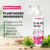 Fruit Fly Spray, Fast-Acting Fruit Fly Killer for Kitchens &