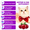 Cat Multivitamin - 15 in 1 Multivitamin Drops for Cats,