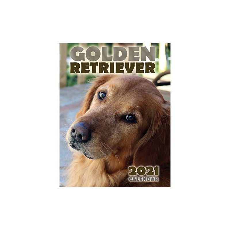 Golden Retriever 2021 Calendar