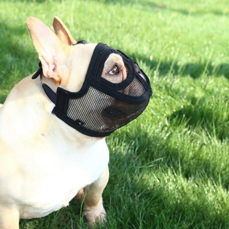 Muzzle for Dogs, Muzzle for Short Nose, Short Nose Dogs,