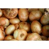 Generic Fresh Sweet Vidalia Onions, USA Grown, NON-GMO, Bulk (1