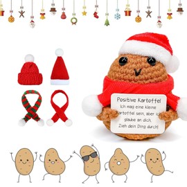 Scinzene Christmas Decoration for Women - Pack of 5 Small Gifts for Colleagues - Funny Christmas Gifts for Women, Best Friend Gift, Christmas Gifts for Women Christmas