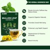 Mullein Tea Bags for Lungs - 20 Teabags (2.47oz/70g), 100%
