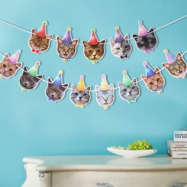 Birthday Banner Cat Face Hanging Bunting Birthday Sign for Party Princess Decorations