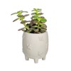 Sass & Belle Mini Cement Planter with Bees