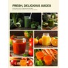 Masticating Juicer Machines, Reemix Cold Press juicer Machine Compact Size,