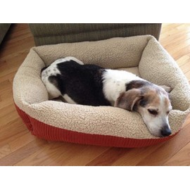 Aspen Pet 80869 Self-Warming Dog Bed, 30" x 24", Color May Vary