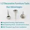 AUXBC 100 PCS Mini Upholstery Nails, 4/5" Decorative Furniture Tacks,
