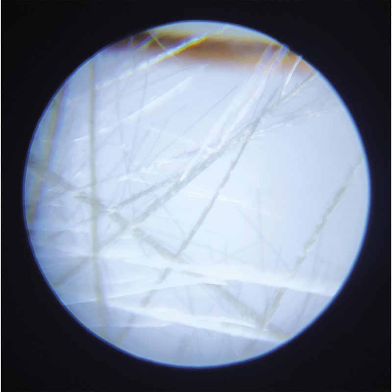 Janod - Children's Portable Pocket Microscope - 50x-250x magnification +